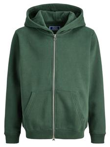 Толстовка с капюшоном на молнии Jack & Jones Junior Bedford, зеленый