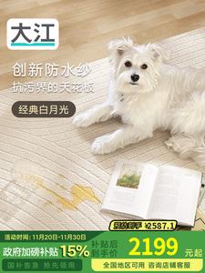 Dajiang Ковер 300х400 см для гостиной/спальни, простой дизайн Waltz, водостойкий, нескользящий, легко чистить