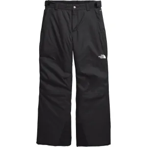 Свободные утепленные снежные брюки для мальчиков The North Face, Tnf Black