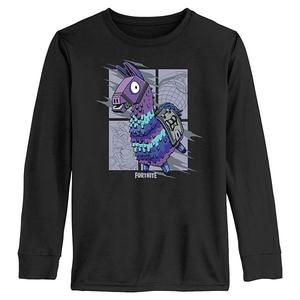 Футболка с длинным рукавом с принтом ламы для мальчиков 6-20 Fortnite