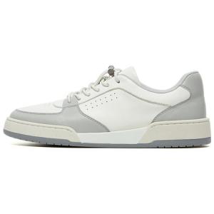 Кеды мужские, обувь для скейтбординга низкая Vicki Brown, белый/синий