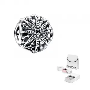 Pandora Sterling Silver Jewelry Accessories Unisex Silver
