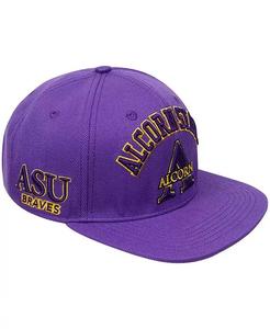 Мужская фиолетовая бейсболка Alcorn State Braves Evergreen с аркой и логотипом Snapback Pro Standard