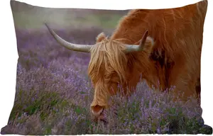 Подушка для улицы - шотландский высокогорный скот - животные - вереск - 50 x 30 см - водонепроницаемая - подушка для отдыха - подушка для дивана - украшение для гостиной MuchoWow