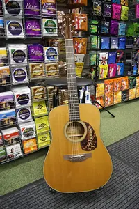 Электроакустическая гитара Takamine EF340S TT с жестким кейсом