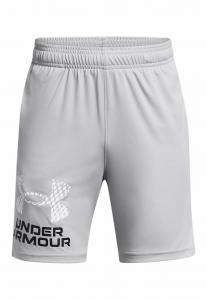 Спортивные шорты TECH LOGO Under Armour, цвет mod gray (011)