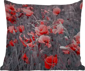 Подушка для улицы с изображением красных маков в черно-белом цвете, 45 x 45 см, водонепроницаемая, подушка для отдыха, фотоподушка, декоративная подушка MuchoWow