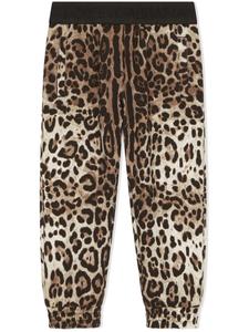 Dolce & Gabbana спортивные брюки с леопардовым принтом, коричневый