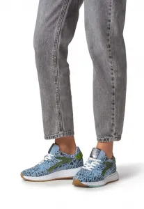 Тренеры Floris Van Bommel, Lightblue