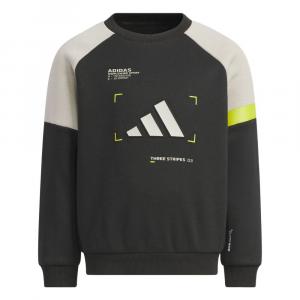 Adidas Толстовка LK WARM CREW Black детская
