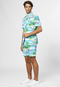 Костюм SUMMER FLAMINGUY OppoSuits, мультиколор