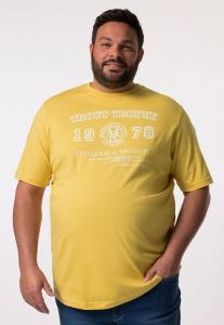 Футболка с принтом HALBARM BRUST Men Plus, горчично-желтый