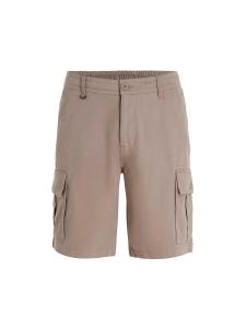 Брюки ONEILL Loose fit Cargo Pants Essentials, цвет Brocade