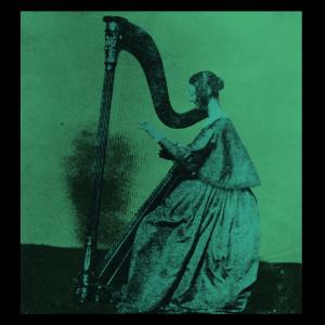 Виниловая пластинка TV Girl - Grapes Upon The Vine