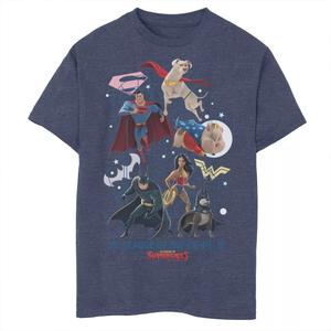 Футболка с графическим рисунком DC Super Pets Super Team для мальчиков 8–20 лет DC Comics