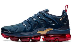 Кроссовки Nike Air VaporMax Plus Olympic