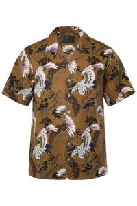 Рубашка на пуговицах классического кроя JP1880, Brown