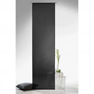 Раздвижная штора Weckbrodt «Клара», (1 шт.), межкомнатная перегородка, дикий боковой вид, полупрозрачная, антрацит