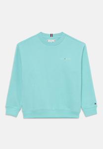 Толстовка Tommy Hilfiger MINI CORP C NECK, Ocean Spray/Turquoise