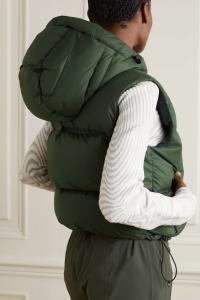 AZTECH MOUNTAIN стеганый пуховый жилет Snowbird с капюшоном, зеленый