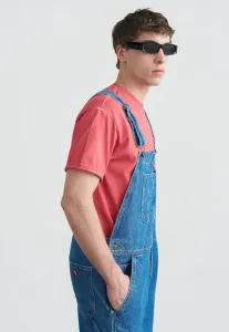 Футболка с принтом Dickies, Garnet