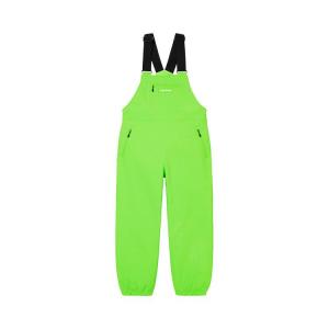 Брюки Supreme WINDSTOPPER Overalls, Bright Green