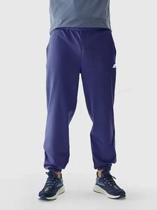 4F Фиолетовые спортивные штаны