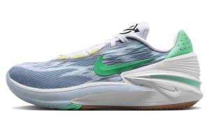 Мужские баскетбольные кроссовки Nike Air Zoom GT Cut 1