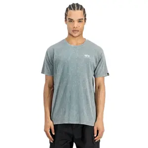 Футболка Alpha Industries с коротким рукавом и винтажным принтом на спине, серый