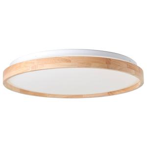 Светодиодный потолочный светильник Brilliant Alson, пластик/железо - 1-пламень