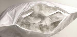 Роскошная трехкамерная подушка Betten Hofmann 40x60 см, пуховая подушка, подушка для шеи