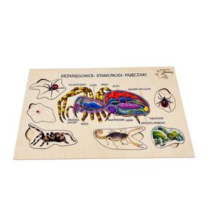 Паукообразные, деревянный пазл, интересные факты о паукообразных, биологическая помощь Inna marka