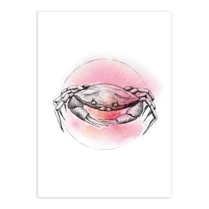 Фреска Komar Crab, 50x70x0,1 см цвет schwarz/weiß/rosa