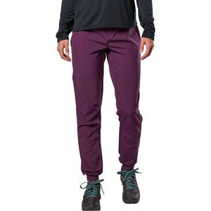 Брюки PEARL iZUMi Summit PEARL iZUMi, Dark Violet