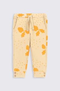Спортивные брюки для новорожденных Coccodrillo, бежевый