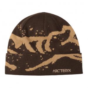 Arcteryx Мужская коричневая шапка из полиэстера, Brown