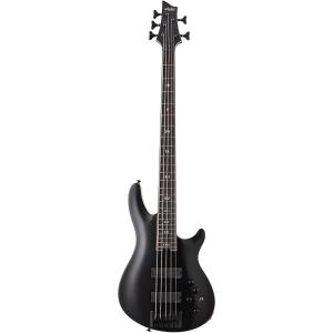 Schecter Guitar Research SLS Elite-5 Evil Twin 5-струнная электрическая бас-гитара Satin Black