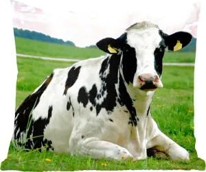 Декоративная подушка для дивана, декоративная подушка для гостиной, 40x40 см, корова - трава - животные - горы - фотоподушка - украшение для спальни MuchoWow