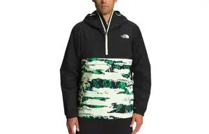 Куртка мужская черная The North Face, черный