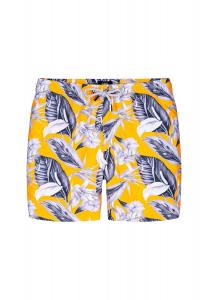 Плавки-шорты Hastings BONDIJOE, цвет Golden Bloom