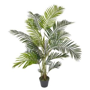 Декоративное растение Homescapes Areca-Palme im Topf, 23x160x160 см, черный