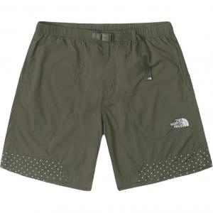 THE NORTH FACE Повседневные шорты для урбан-эксплорейшн мужские серый коричневый зеленый