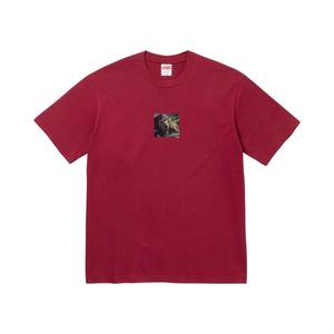 Футболка Supreme x The Exorcist Puke Tee, Cardinal