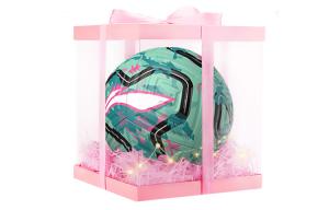 LINING Размер 5 футбольный мяч TPU бесшовный термосварка Unisex синий зеленый