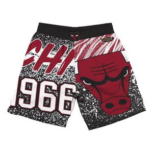 Спортивные шорты Mitchell & Ness x NBA Jumbotron Sublimated Shorts 'Chicago Bulls', серый