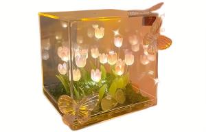 Атмосферные огни The Star God Project