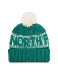 Шапка The North Face Retro Cabin NF0A88QW, зеленый