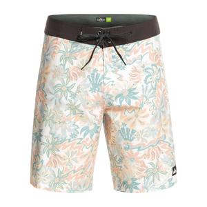 Мужские плавки Quiksilver Surfsilk QS 69 19"
