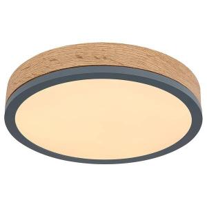 Светодиодный потолочный светильник Globo Lighting Doro Typ B