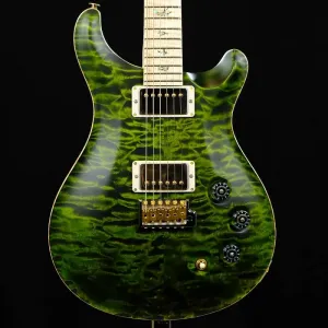 Электрогитара PRS Wood Library DGT с инкрустацией в виде птиц - нефритовая